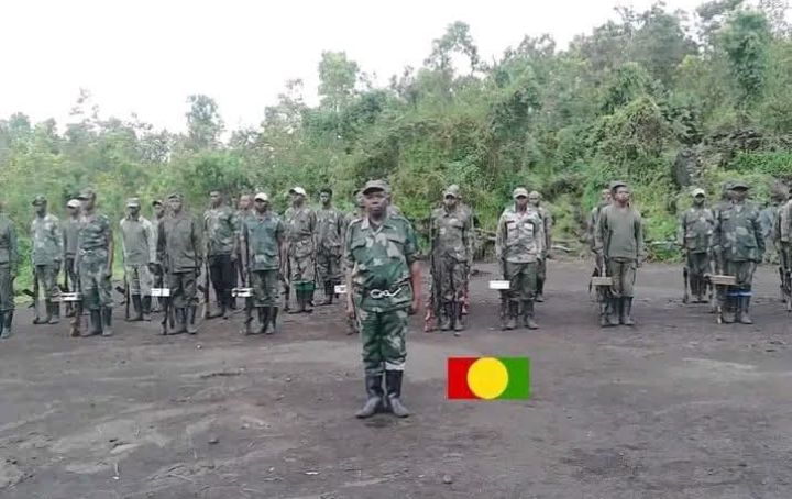FDLR (Forces Démocratiques de Libération du Rwanda) ni umutwe w'inyeshyamba ushinjwa kugira uruhare mu bikorwa by'iterabwoba, ihohotera, n'ibindi byaha bikomeye byibasira abasivili, ukaba warashinzwe mu 2000,